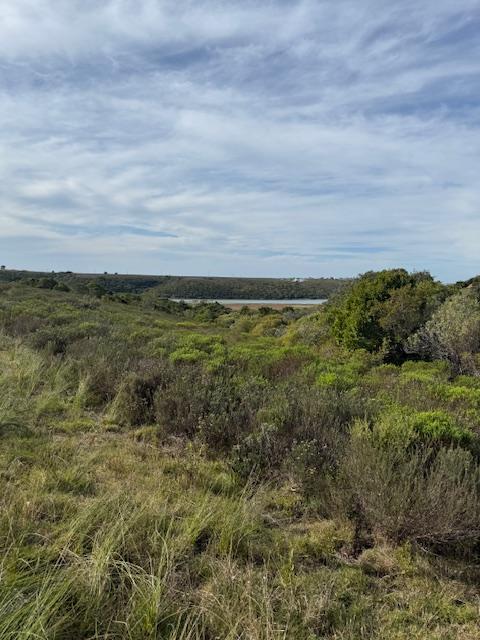 0 Bedroom Property for Sale in Kromme River Estate Eastern Cape